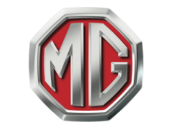 Mg